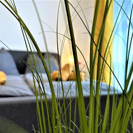 Gemuetliches Studio Im Bayerwald +Pool +Sauna +Wifi Zwiesel Exteriör bild
